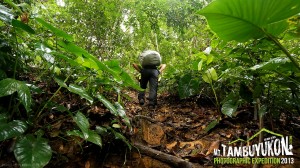 Mount Tambuyukon Expedition  